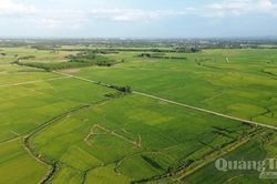 Nông nghiệp xanh-Chiến lược phát triển bền vững
