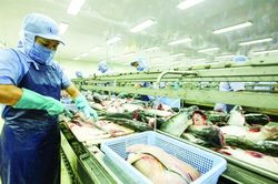 Thương mại Việt Nam rộng cửa đón cơ hội mới