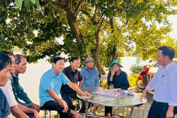 Quảng Trị: Việc chuyển đổi rừng thông 38 năm tuổi sang trồng rừng sản xuất, ưu tiên có lợi cho dân.