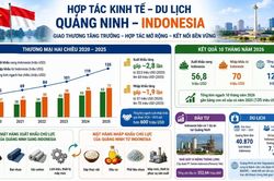 Xuất khẩu của Quảng Ninh sang Indonesia tăng gần 3 lần sau 5 năm