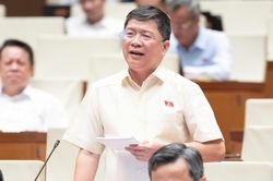 ĐBQH: Cần tháo gỡ việc 'cha mẹ muốn chia đất cho con nhưng vướng hạn mức đất ở'