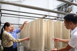 Làng nghề miến dong tăng tốc vào vụ cuối năm