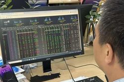 Chứng khoán ngày 30/10: VN-Index giảm gần 14 điểm, sắc đỏ tiếp tục áp đảo