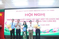 TP Cần Thơ công bố quyết định sắp xếp, tổ chức bộ máy các trường cao đẳng