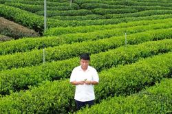 Thái Nguyên gấp rút hoàn thiện không gian tổ chức Festival Trà Quốc tế 2026