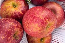 Trái cây Trung Quốc siêu rẻ: Nho sữa 22.000 đồng/kg, táo mật chỉ 11.000 đồng