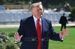 Tổng thống Donald Trump hủy lịch vận động trực tiếp