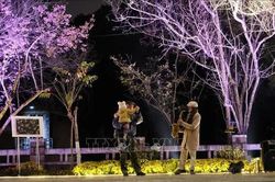 Lễ hội nhạc Jazz quốc tế - điểm nhấn mới của du lịch Lâm Đồng