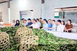 Chính sách dân tộc - Điểm tựa vùng cao