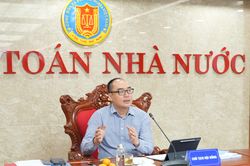 Ứng dụng dữ liệu lớn để phát hiện gian lận thuế trong kiểm toán thu ngân sách