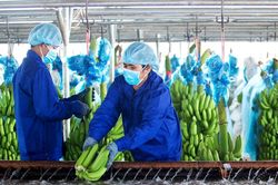 Hoàng Anh Gia Lai lãi hơn 2.600 tỷ nhờ xóa nợ lãi trái phiếu