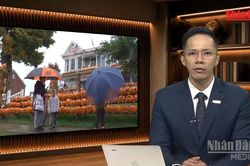 [Video] Tiêu điểm 31/10: Mùa Halloween 'hù dọa' sức mua người Mỹ