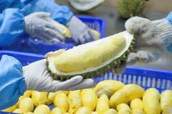 Xuất khẩu thực phẩm sang Trung Quốc: Giảm một nửa thông tin kê khai