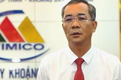 Tổng giám đốc Vimico bị khởi tố