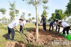 Thiệu Hóa phát động đợt cao điểm “100 ngày đêm chỉnh trang cảnh quan, vệ sinh môi trường" mừng Đảng, mừng Xuân Đinh Mùi 2027