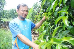 Người đảng viên tiên phong trên quê hương Lang Minh