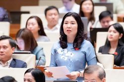 Đại biểu Quốc hội nêu lãng phí nguồn lực vì có độ trễ trong thực thi chính sách