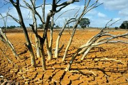 Chủ động ứng phó ảnh hưởng của El Nino