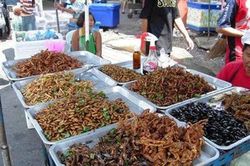 Côn trùng 'lên ngôi' trên bàn nhậu