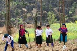 Ban hành chuẩn nghèo tiếp cận đa chiều
