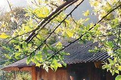 Sin Suối Hồ miền đất hấp dẫn