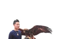 Vì sao 'sát thủ bầu trời' này lại có giá tới 200 triệu?