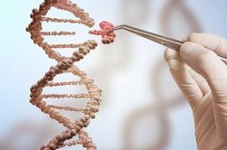 Đột phá y học loại bỏ thành công virus HIV chữa khỏi căn bệnh thế kỷ