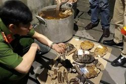 Nổ súng bắt cơ sở đang nấu cao hổ, nhân viên chạy tán loạn