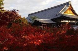 Kinh nghiệm du lịch Nhật Bản tự túc. Khám phá Kyoto 3 ngày như thế nào?