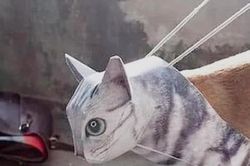 Đi du lịch, nhờ bạn trai chăm chó và kết cục bất ngờ