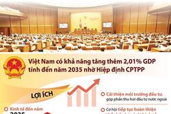Quốc hội thông qua Nghị quyết phê chuẩn Hiệp định CPTPP