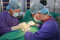 2 bé trai phải cắt bỏ tinh hoàn do phòng khám chẩn đoán nhầm