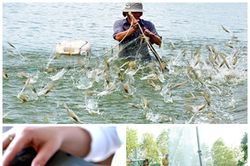Ban hành 9 văn bản QPPL trong tháng 12/2018