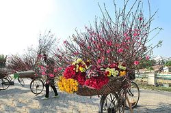 Kinh doanh gì 'hốt bạc' dịp Tết Kỷ Hợi sắp tới