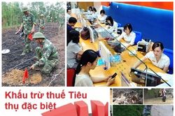 Chỉ đạo, điều hành của Chính phủ, Thủ tướng Chính phủ nổi bật tuần từ 11-15/2/2019