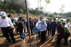 Sự kiện trong nước nổi bật tuần qua: Tết trồng cây Xuân Kỷ Hợi