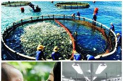 Ban hành 10 văn bản QPPL trong tháng 3/2019
