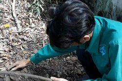 Vụ hơn 300 thai nhi chôn ở nhà máy rác TP.Cà Mau: Quy trình xử lý thai nhi chết ra sao?