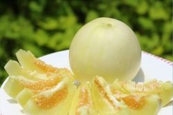 Dưa lê: Hạ huyết áp, đẹp da, tăng cường trí nhớ
