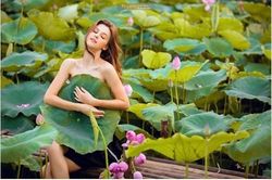 Các nhiếp ảnh gia tư vấn cách chụp ảnh với sen đẹp và thanh lịch
