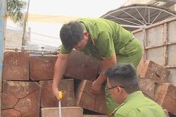 Đắk Lắk: Truy tìm tài xế chở gỗ lậu tông xe lực lượng công an rồi bỏ trốn