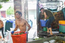 Nghề 'độc' đất vải Lục Ngạn: Biến nước thành 'vàng', thu hàng tỷ đồng