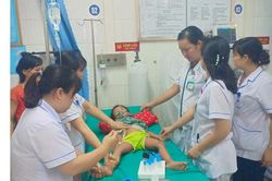 Một nốt kiến đốt vào chân, bé 3 tuổi sốc phản vệ