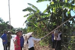 Phụ nữ xã Ngọc Lập làm theo Bác