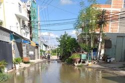 Đường giao thông hay... ao?