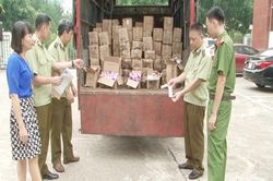 Tiêu hủy 8.000 que kem nhập lậu