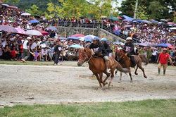 Săn mây Fansipan, cưỡi ngựa Tây Bắc- combo du lịch hoàn hảo tại Sa Pa hè này