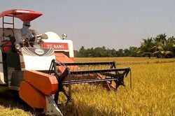 Kỷ luật nữ cán bộ huyện nhận hơn 230 triệu đồng tiền 'cảm ơn' của nông dân