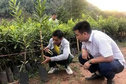 Nghề lắm gian nan