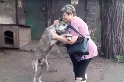 Lạc chủ 2 năm, chú chó khóc ôm chầm chủ ngày hội ngộ
